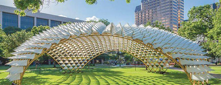 Rhinoceros & Grasshoppers